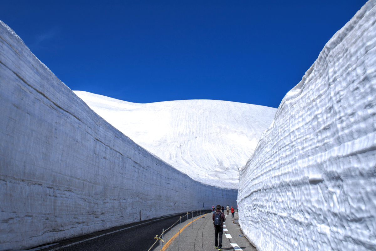 雪に覆われる大谷